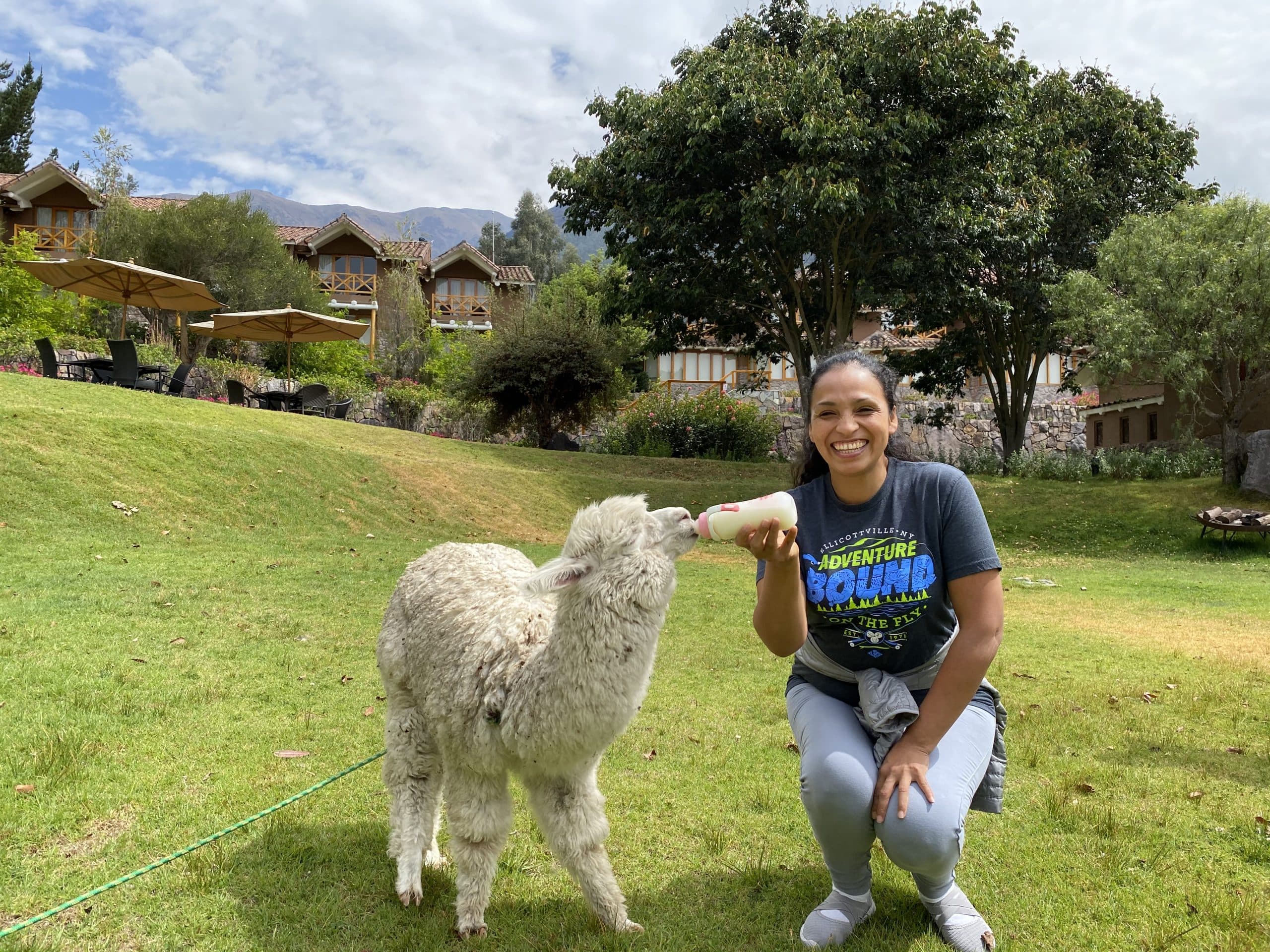 Gisella bottle-feeding a baby alpaca in Peru's Sacred Valley
